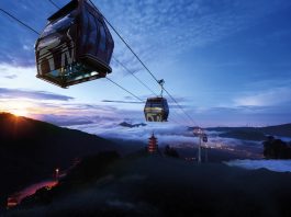 Thrills At Theme Parks & Attractions