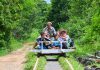 Fun Family-Friendly Activities
