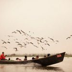 Popular Birding Spots