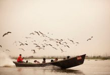 Popular Birding Spots