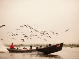 Popular Birding Spots