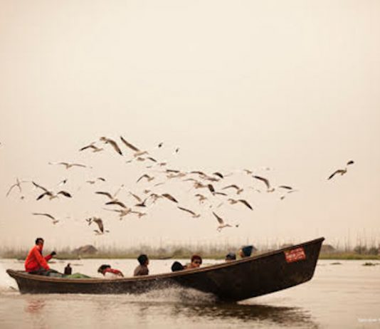 Popular Birding Spots
