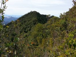 Popular Mountains To Climb