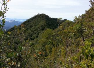 Popular Mountains To Climb