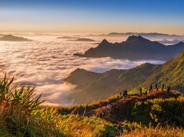 Must-Visit National Parks