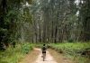 Best Cycling Trails/Routes