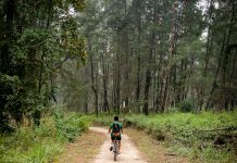 Best Cycling Trails/Routes