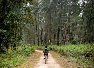 Best Cycling Trails/Routes