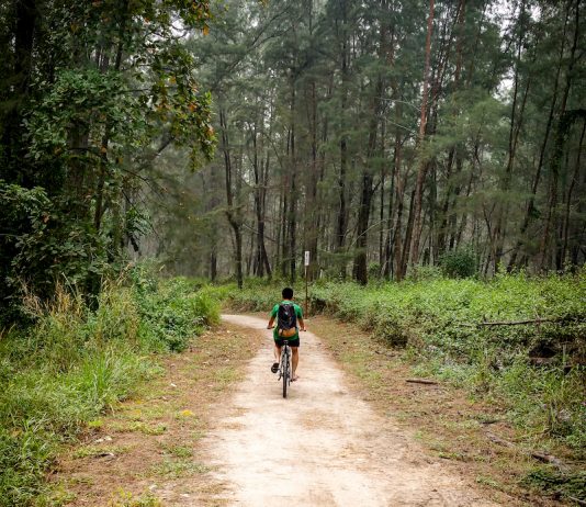 Best Cycling Trails/Routes