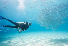 Best Dive Sites