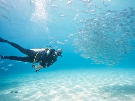 Best Dive Sites