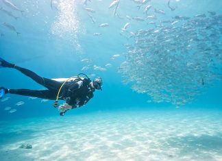 Best Dive Sites