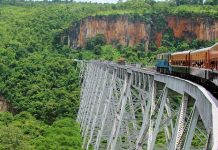 Fun Family-Friendly Activities