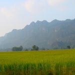 Best Trekking Spots & Trails