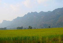 Best Trekking Spots & Trails