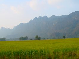 Best Trekking Spots & Trails