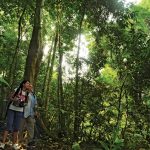 Popular Sites For Hiking/Trekking/Nature Walks