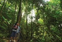 Popular Sites For Hiking/Trekking/Nature Walks