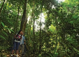 Popular Sites For Hiking/Trekking/Nature Walks