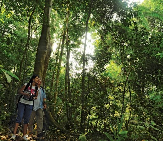 Popular Sites For Hiking/Trekking/Nature Walks