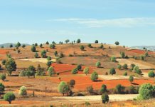 Popular Places To Hike & Trek