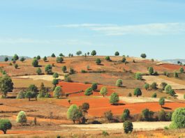 Popular Places To Hike & Trek