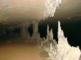 Popular Caves To Explore