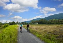 Best Mountain Biking Trails