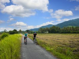 Best Mountain Biking Trails