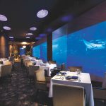 Unique Dining Experiences