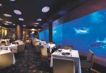 Unique Dining Experiences