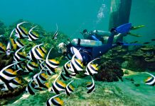 Top Dive Sites