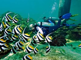 Top Dive Sites