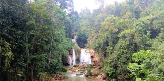 Popular Nature Spots