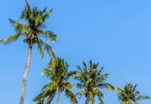 Vietnam’s Best Beaches