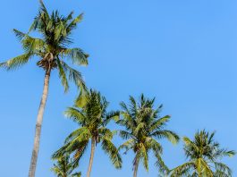 Vietnam’s Best Beaches