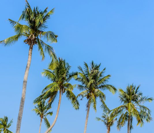 Vietnam’s Best Beaches