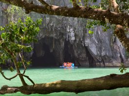 Must-Visit National Parks