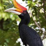 Popular Sites For Bird-Watching