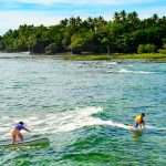 Best Surf Spots