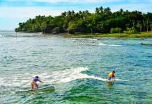 Best Surf Spots