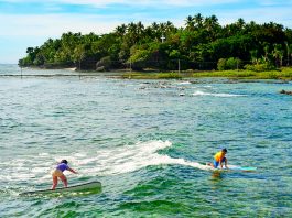 Best Surf Spots