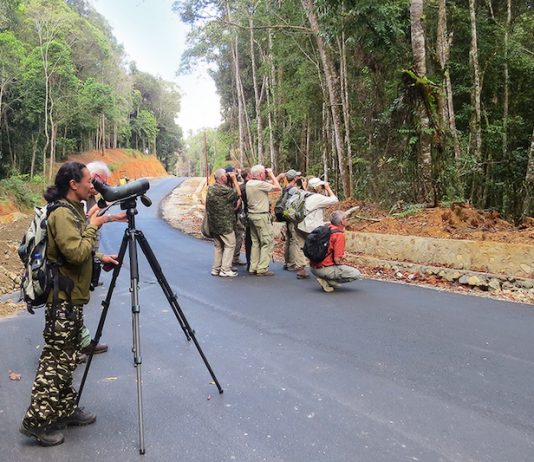 Popular Sites For Birding