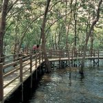 Best Nature Trails