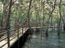 Best Nature Trails
