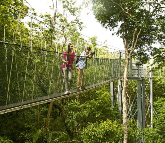 Popular Nature Spots