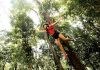Popular Zipline Spots