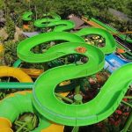 Top Family-Friendly Activities