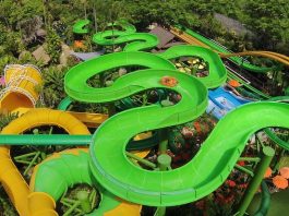 Top Family-Friendly Activities