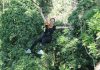 Popular Zipline Spots